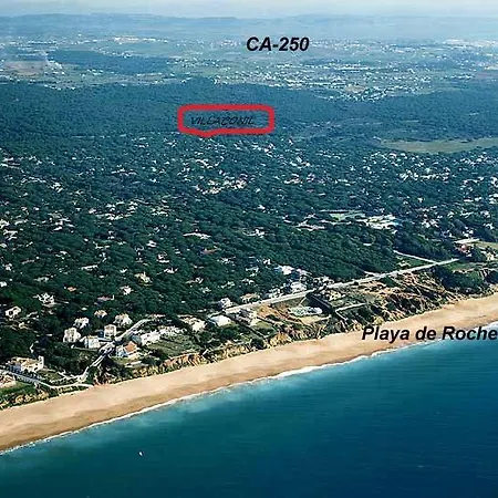 Conil *
