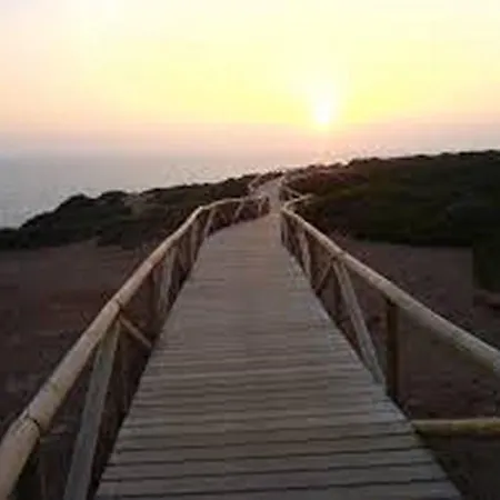 Conil